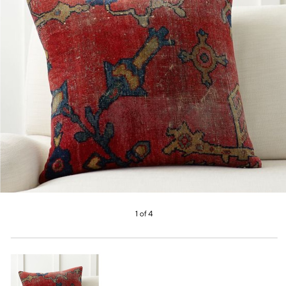 One Pottery Barn Dara Pillow with down alt insert. Must buy both. See photos